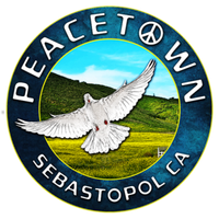 Peacetown Summer Concert Series