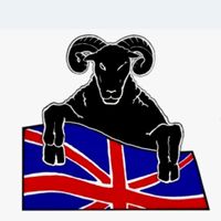 The Black Sheep Pub 