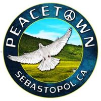 Peacetown Summer Concert Series 