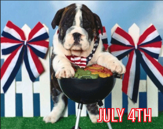Fourth of July Safety