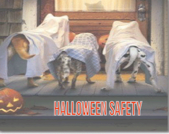 Halloween Safety