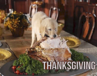 Thanksgiving Safety