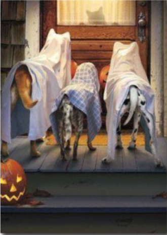 Dogs with Ghost Sheets on