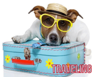 Travel Safety
