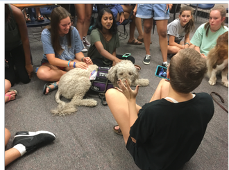 Therapy Dog Training
