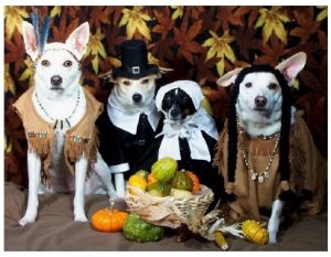 Pilgrim Dogs Thanksgiving