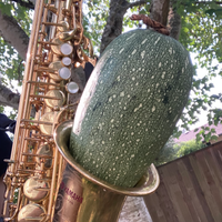 Farm Fresh (Sold Out!) - Duo with Joe Aloia
