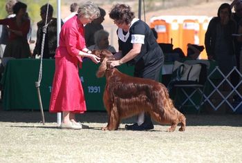 Jonesy at the 2008 National's in Arizona
