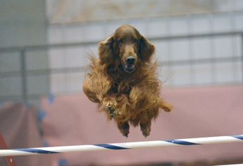 Flying Higher
