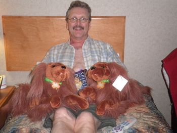 Jack with the stuffed Irish Setters brought to us to help with missing our dogs
