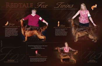 Ad in the Irish Setter Memo
