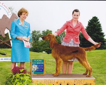 Connor took 2nd in the 6 to 9 month class. He was shown by Shea Jonsrud
