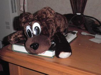 Stuff Dog brought to us by our dear friend Sarah. The dog laughs and rolls on the floor.
