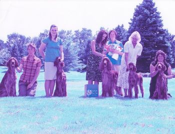 Alex, GCH Courtwood Going My Way, and his Get took 2nd in the Stud Dog Class. Look at all the ribbons!
