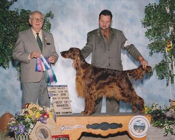 Mattie New Champion Photo Shown By Clint Livingston

