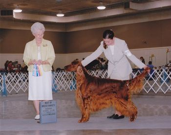 Jonesy winning the Breed at Seward Spring 2007
