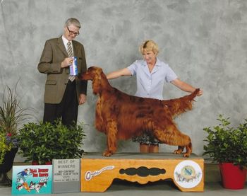 Best of Winners at the Tulsa Show in May 2011. Even though John Murray was battling stage 4 cancer, he was at the show to see Connor win. This would be John's last dog show.
