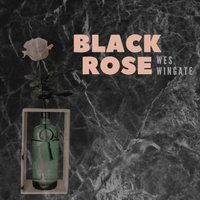 Black Rose by Wes Wingate