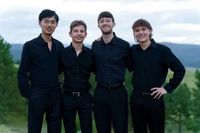 The Dolphins String Quartet