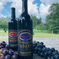 NEW VENUE - Eden Try Winery