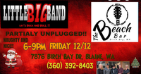 LITTLE BIG BAND rocks the Beach