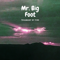 Testament By Fire by Mr. Big Foot