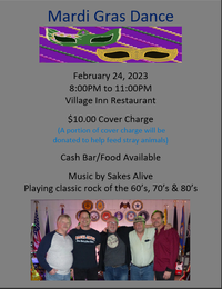 Mardi Gras Party - Village Inn, Mahanoy City
