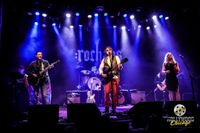Petty Kings - Tribute to Tom Petty