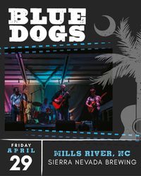 Blue Dogs in the High Gravity Room 