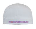 MFR FlexFit Hat