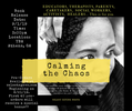 Calming the Chaos (Who Heals the Healer?) book