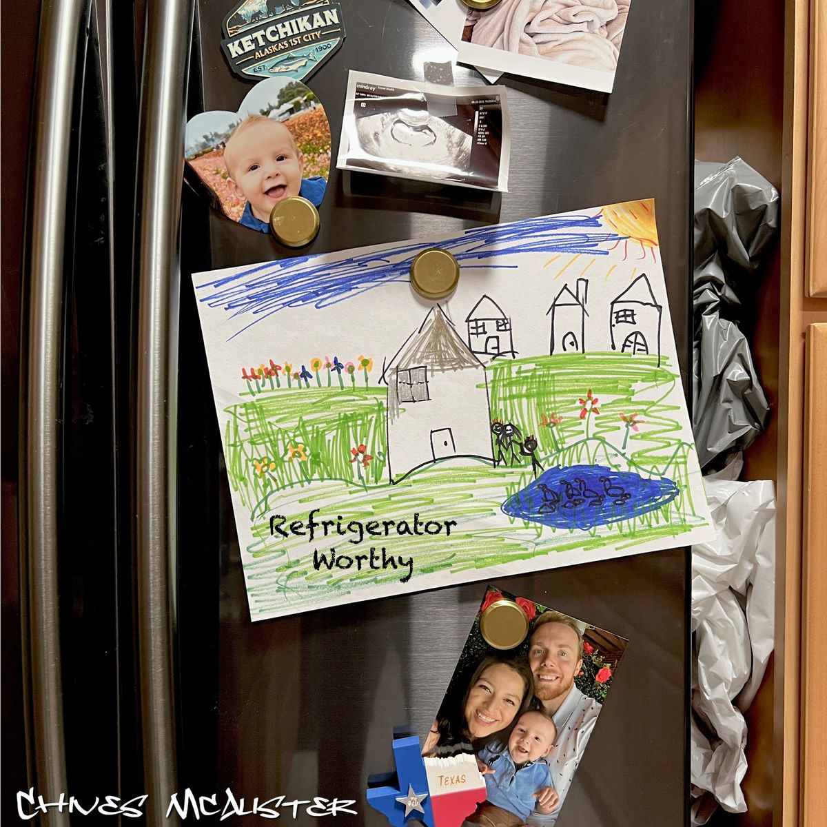 Refrigerator Worthy - Chives McAlister CD