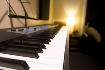 Fully Weighted 88-key Piano
