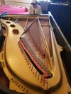 1930 The Mehlin Concert grand rare core