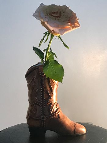 "Country Girl"
Canon AE-1/ Film Photography
