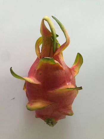 "Twist of Fate"
Dragonfruit
Iphone 7
