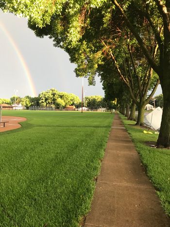 "Rainbow Light"
Iphone7
