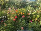 The Wildflower | Sliding Scale
