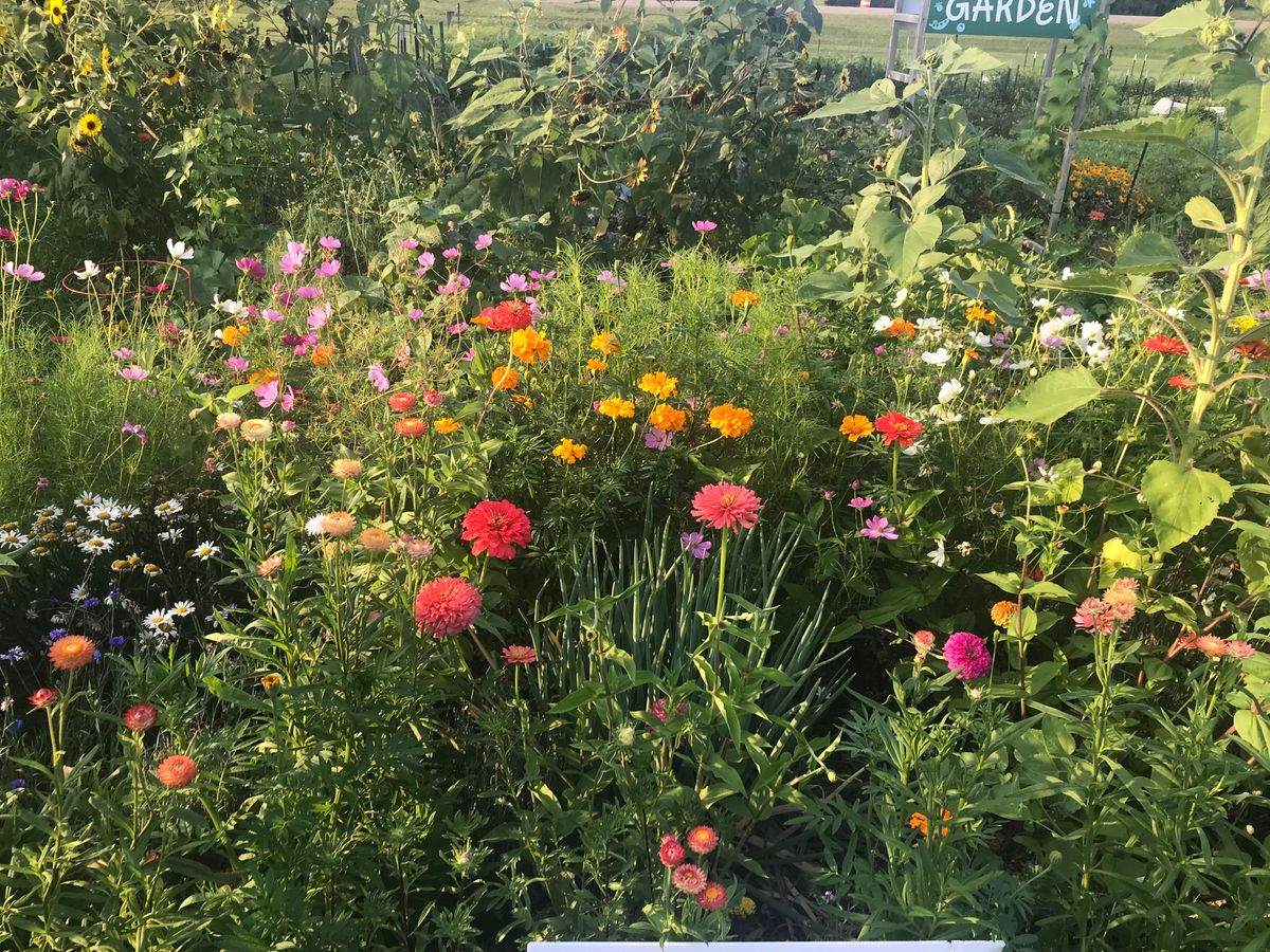 The Wildflower | Sliding Scale