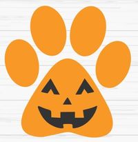 Bonanza Kennel Club Meeting 