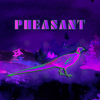 Could Be Nice by Pheasant
