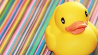 SUMMER QUACK-ING SIZZLING Disc Dog Weekend