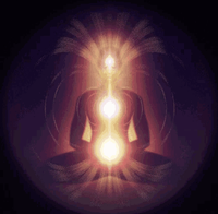 Lotus of Life: Star Matrix Actvation Training 