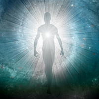 The Divine Expression Within all Beings Everywhere by Carol Fitzpatrick, Luke Leuterio, Mark Torgeson