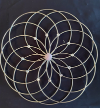 Lotus of LIfe Star Matrix Activation Training