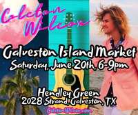 Coleton Wilcox on the Guitar @ The Galveston Island After Dark Market
