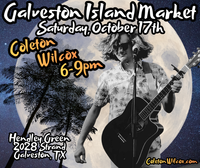 Coleton Wilcox on the Guitar @ Galveston Island Market 
