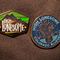 Pin Bundle