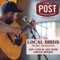 Local Birds Music Monday