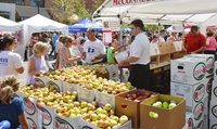 Haywood County Apple Harvest Festival